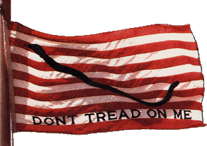 The First Navy Jack